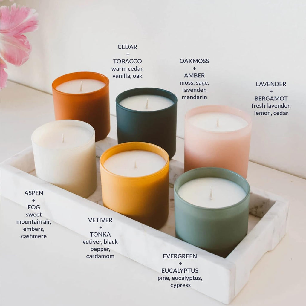 Calyan Wax Co. Scented Candle Gift Set, The Dignity Series Set of 6 Aromatherapy Soy Candles, Non Toxic & Vegan Soy Wax, Glass Jar Candles, 35 Hour Burn Time, 7oz Each