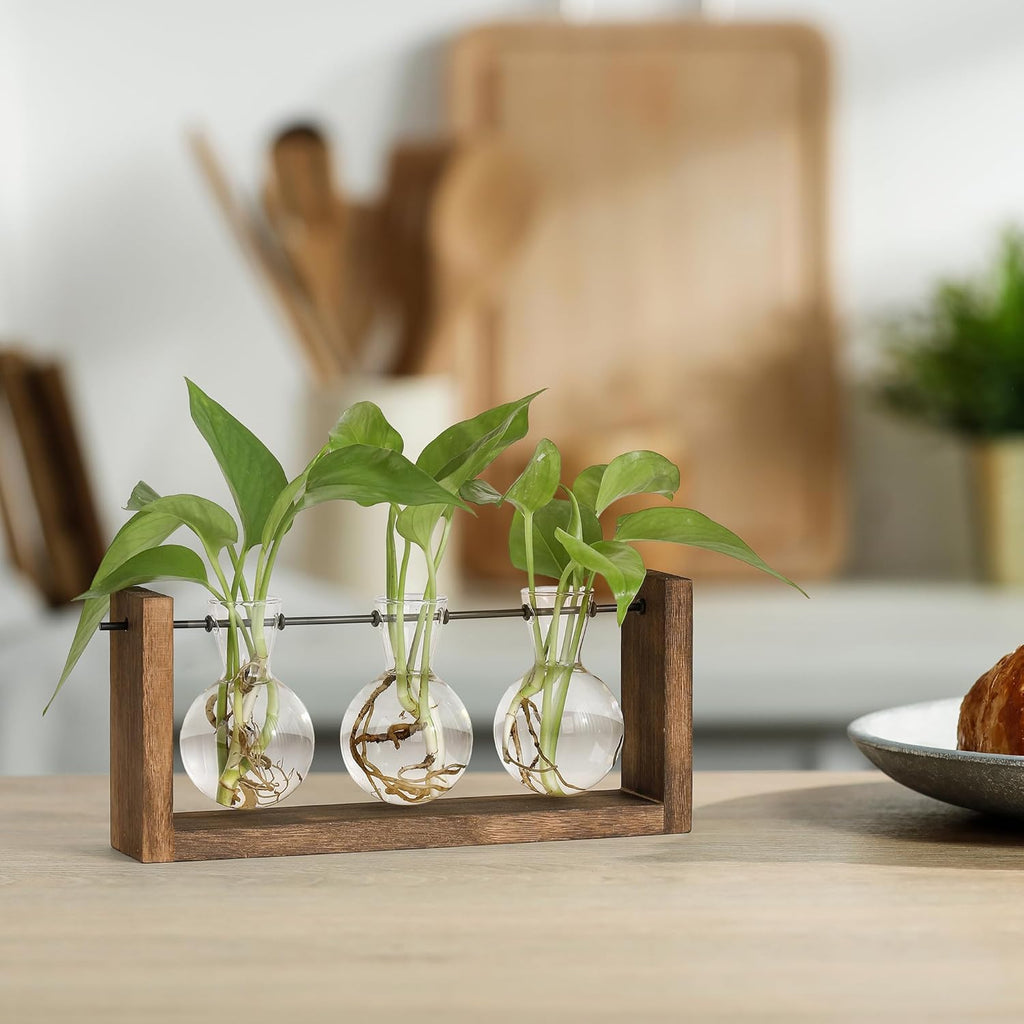 YIBOT Plants Propagation Stations,Plant Terrarium with Wooden Stand Wall Hanging Glass Planter Plant Propagation Vase for Indoor Office Home Garden Decor Plant Lover Gifts for Women