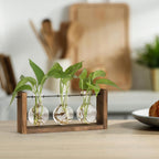 YIBOT Plants Propagation Stations,Plant Terrarium with Wooden Stand Wall Hanging Glass Planter Plant Propagation Vase for Indoor Office Home Garden Decor Plant Lover Gifts for Women