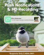 Bird Feeder with Camera, Smart Bird Feeder for Outdoors, Wild Birds Feeders with Solar Panel Bamboo Birds House Camera for Birdlovers, AI Auto Capture Birds & Real-time Notification (Gable)