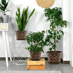 16 Inch Planter Pots for Plants, Plastic Large Flower Pots Indoor Outdoor, 4 Pack Resin Plant Pot with Drainage & Saucer, Retro Decorative Garden Pot with Removable Trays for House