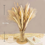 65PCS Pampas Grass Decor, Including pompas Floral, Reed Dried Grass and Bunny Tails Dried Flowers, Natural Dried Pampas Grass Bouquet for Boho Decor Wedding, Home Decoration
