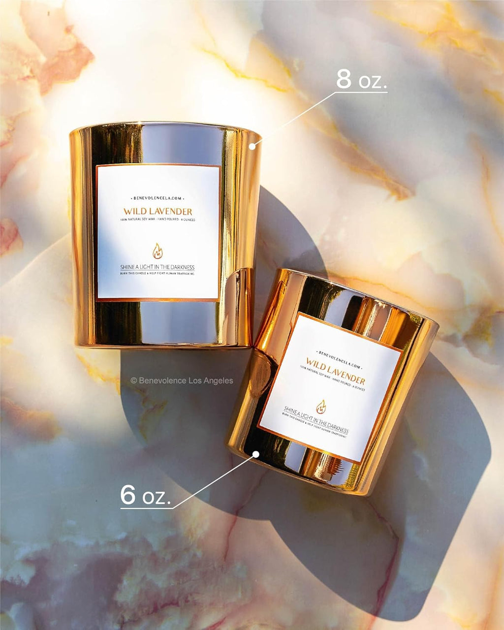 Benevolence LA Wild Lavender Wood Wick Candles | Soy Scented Candles for Home | Gifts for Women and Men | Home Fragrance | Aromatherapy | Shelf Decor, Bathroom Freshener | 8oz, 45 Hour Burn