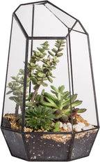 NCYP Geometric Glass Terrarium Planter for Succulent, Small Cacti, Black Irregular Opened Container Pot, Indoor Home Garden Office Tabletop Decor, 6.5" x 5.7" x 9.8" (No Plants, No Door)