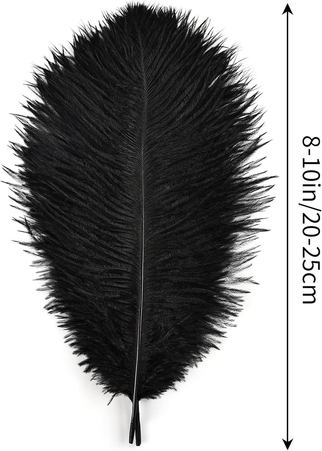 THARAHT Black Ostrich Feathers 12pcs Natural Bulk 8-10Inch 20cm-25cm for Crafts Wedding Party Centerpieces Halloween and Home Decoration Feathers