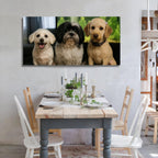 Canvas Prints With Your Photos, Custom Poster On Canvas (Unframed 40x20) Transform Your Photos Into Stunning Framed Wall Art Digitally Printed Photo To Canvas Ideal For Home Decor Gifts Keepsakes
