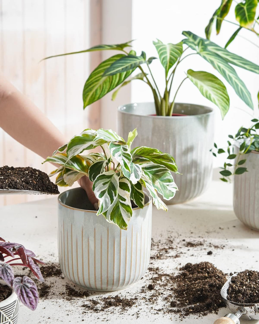LE TAUCI Fluted Ceramic Planters Set of 3 – 8.3/7 / 5.7 in Star White Reactive Cylinder Indoor Plant Pots with Drainage Plug & Mesh, Glossy Stoneware Flower Pots for Succulents Herbs