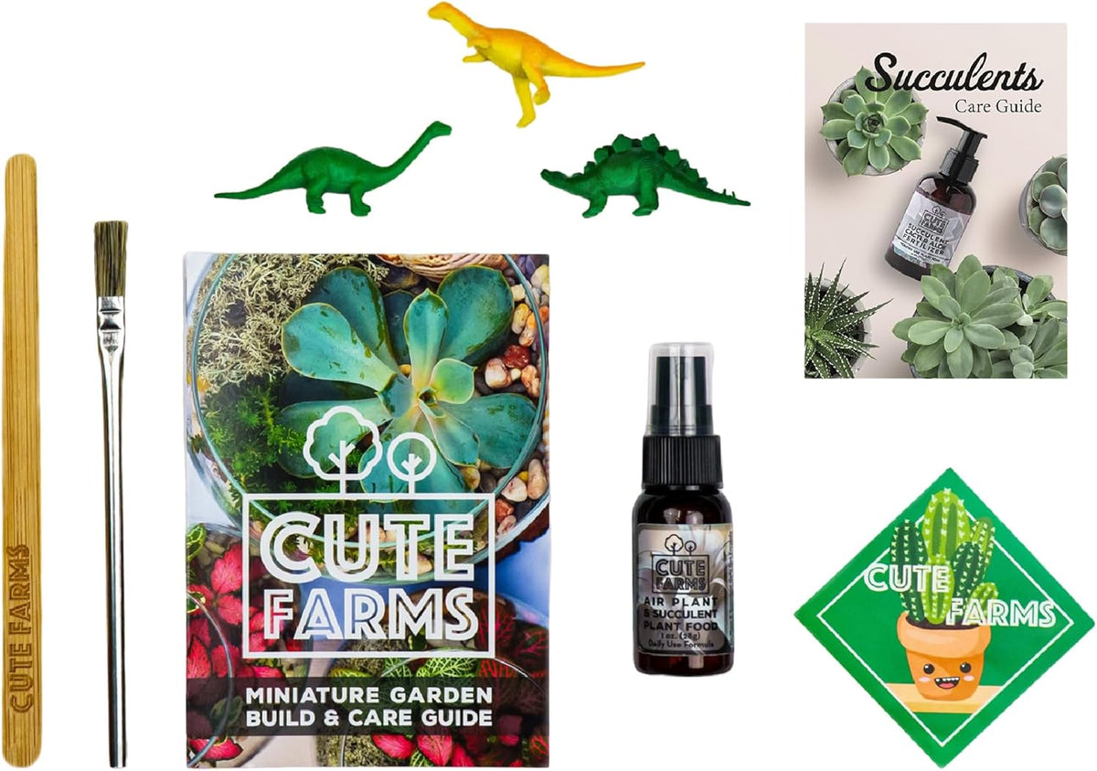 Cute Farms Terrarium Starter Kit | Moss, Vermiculite, Soil, Pebbles, Plant Food, & Finishing Tools (Medium Kit + Live Plants)