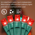 100Count (2pk of 50L) String Lights, LED Christmas Lights, 6" SPACING,Green Wire,RED