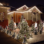 Brizled Christmas Tree Lights, 2 Pack 33ft 100 LED Christmas Lights, 120V UL Certified Connectable Xmas Light Indoor Outdoor, Clear Mini Light for Xmas, Tree, Home, Holiday, Green Wire, Bright White