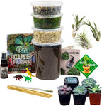 Cute Farms Terrarium Starter Kit | Moss, Vermiculite, Soil, Pebbles, Plant Food, & Finishing Tools (Large + 8 Live Plants)