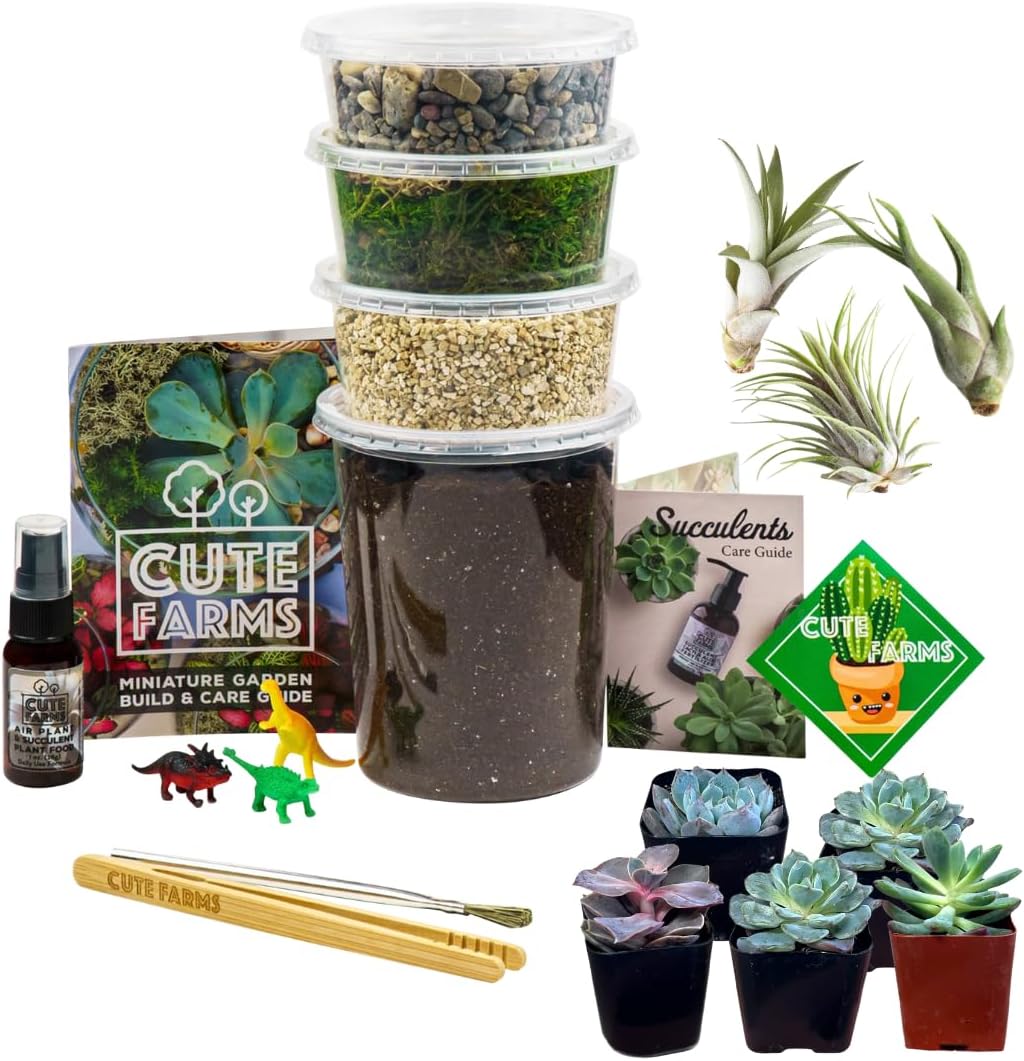 Cute Farms Terrarium Starter Kit | Moss, Vermiculite, Soil, Pebbles, Plant Food, & Finishing Tools (Large + 8 Live Plants)