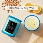 Bahamas Breeze Scented Candle, 2-Wick Luxury Soy Wax Candle, 9 oz Aromatherapy Candle Home Fragrance Candles Gift