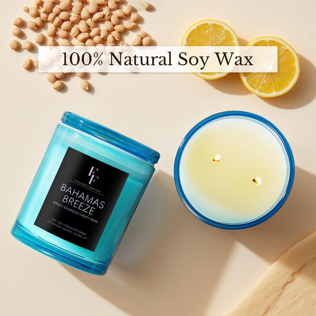 Bahamas Breeze Scented Candle, 2-Wick Luxury Soy Wax Candle, 9 oz Aromatherapy Candle Home Fragrance Candles Gift