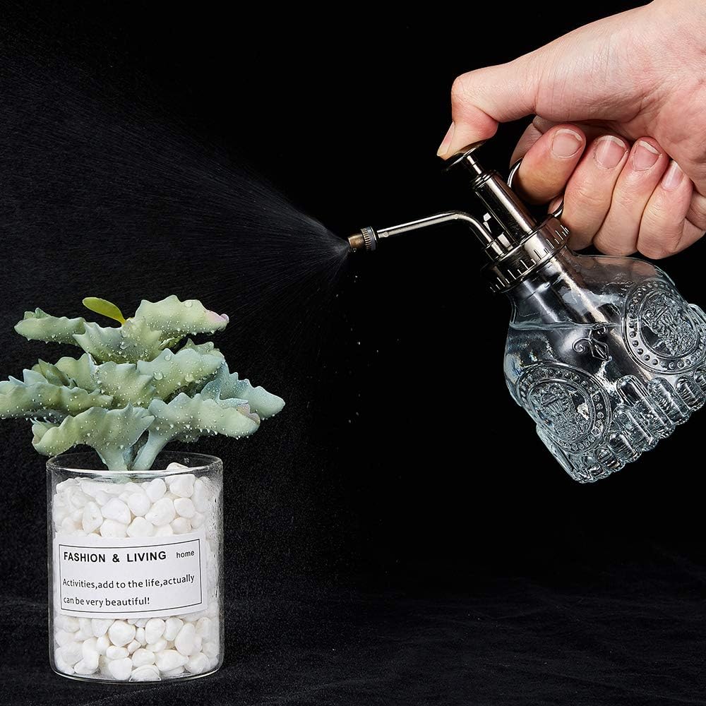 Glass Spray Bottle, 6.5" Tall Vintage Spritzer, Succulent Watering Bottle with Top Pump, Indoor Outdoor Plant Sprayer - Clear