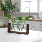 YIBOT Wall Hanging Planter Propagation Station, Plant Terrarium with Wooden Stand, Hydroponics Plants Home Office Living Room Decor Gift-3 Bulb Glass Vases