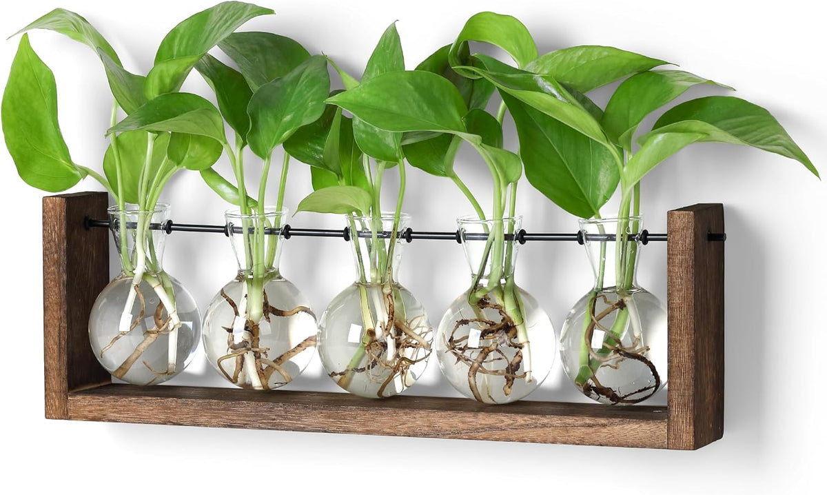 YIBOT Plants Propagation Stations,Plant Terrarium with Wooden Stand,Wall Hanging Glass Planter Plant Propagation Vase for Indoor Office Home Garden Decor Plant Lover Gifts for Women-5 Bulbs
