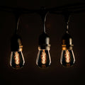 Hometown Evolution, Inc. E26 Outdoor Commercial String Lights with Suspended Socket for Weatherproof Heavy Duty Vintage Outside Lighting (S14 Zig Zag Edison 11 Watt Bulbs, 50 Foot 25 Socket)