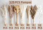 125 PCS Dried Pampas Grass Bouquet, Boho Table Decor, Bunny Tails Dried Flowers, Brown Pampas, White Pampas Grass for Weddings, Home Decor, Rustic Parties, and Baby Shower Decorations