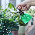 Glass Plant Mister Spray Bottle, Vintage Plant Spritzer Watering Can, Succulent Watering Bottle with Top Pump, Small Plant Sprayer Mister for Indoor Outdoor House Plant - Green