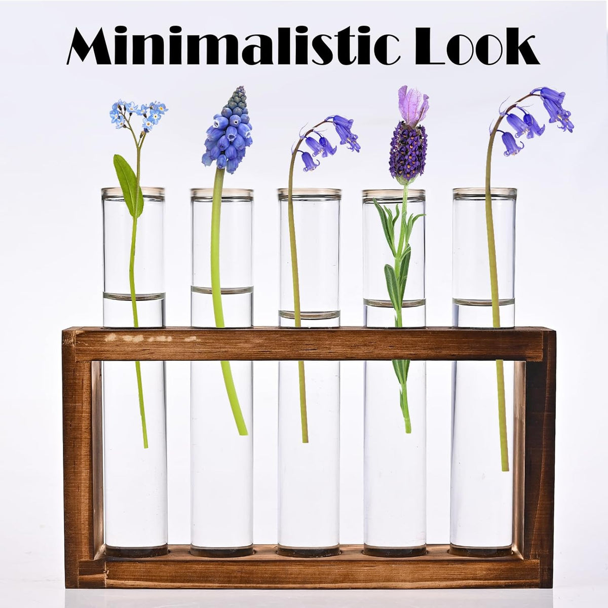 Desktop Glass Plant Propagation Station with 5 Test Tubes in Wooden Stand - Hydroponic Plants Cutting Office Home Decoration and Garden Decor Terrarium (5 Tubes)