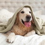 BEDELITE Fleece Blanket Soft Plush Twin Size Blanket Linen Brown 60"x80" | - Image 8