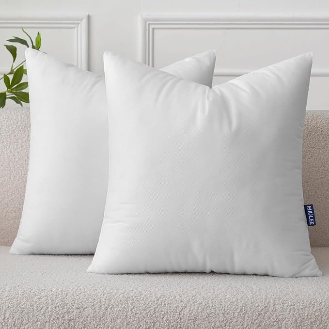 MIULEE Pillow Insert 26x26 Inch Set of 2, Decorative Throw Pillow Inserts | by MIULEE