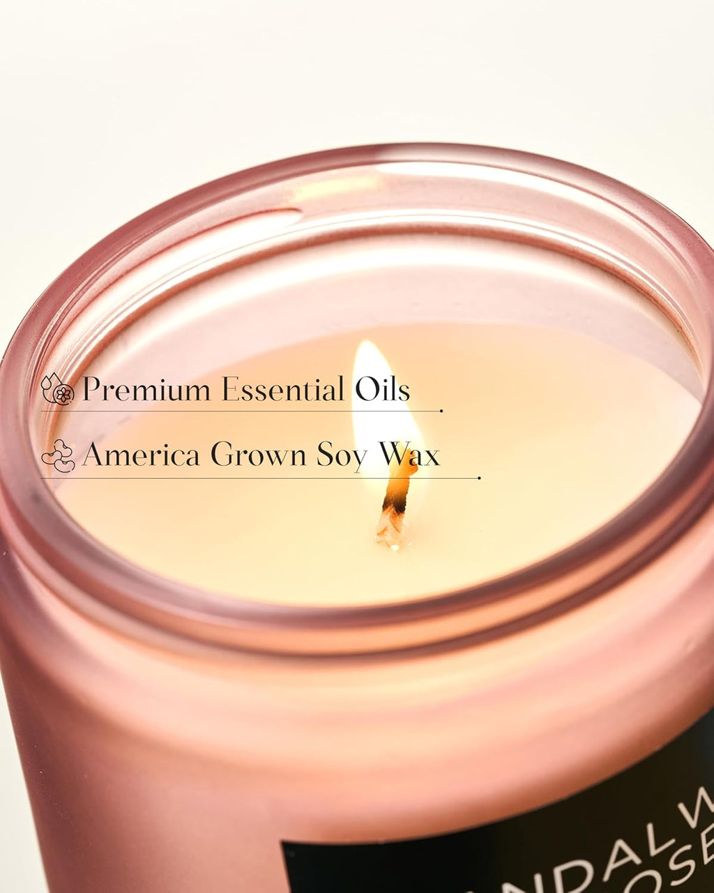M&SENSE Sandalwood Rose Scented Candle 7.05oz 50 Hours Long Lasting Burn Natural Soy Wax Strong Scented Candle for Home, 2 Wick Home Fragrance Slow Burning Housewarming Gifts for Men Women