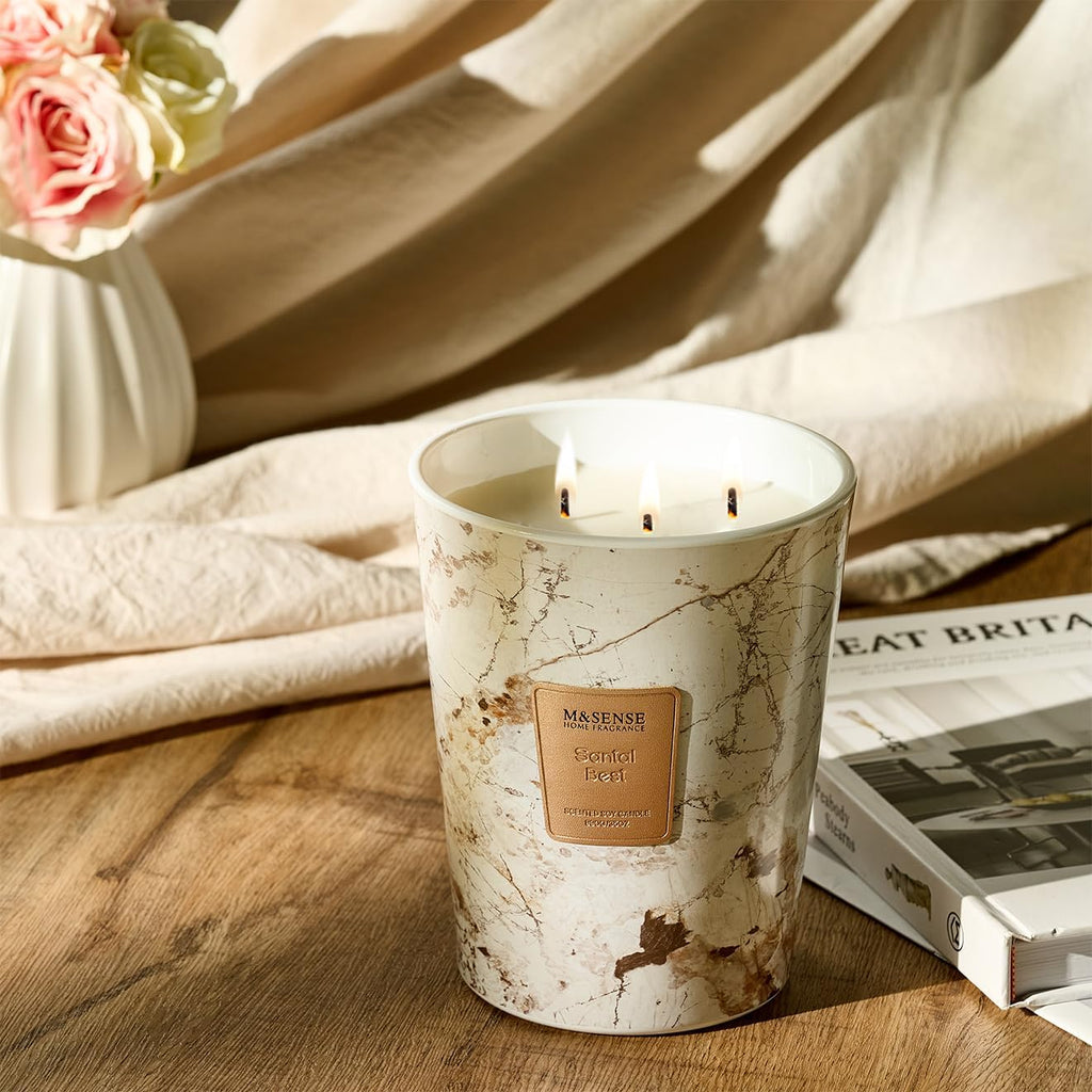 M&SENSE Santal Scented Candles for Home, Lead-Free Wick Highly Scented Jar Candles, 14.1 Oz 80 Hours Lasting Burning Candles Gifts for Women, Relaxing Aromatherapy Candle for Stress Relief