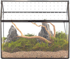 NCYP House Shape Glass Terrarium with Acrylic Lid - 10.2x5.9x8.2 Inches Large Geometric Box for Snails, Ferns, Succulents, Air Plants, Indoor Tabletop Decor, Handmade (Terrarium Only)