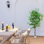 6FT Artificial Ficus Tree with White Planter, Realistic Faux Silk Indoor Outdoor Plant for Home Office Living Room, Porch, Garden Decor