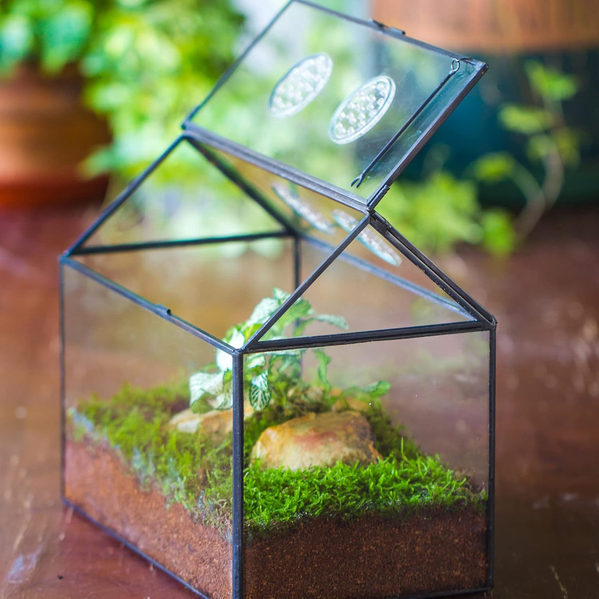NCYP Glass Terrarium with Lid and Air Holes for Snails, Succulents Plants, Small Cactus - 10.2" x 5.9" x 8.2" House Shape Geometric Clear Box, Indoor Tabletop Decor Black (Terrarium Only)
