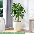 Artificial Dracaena Tree Artificial Silk Tree Faux Tree with White Tall Planter Fake Tropical Yucca Floor Plant (1, White Planter, 4 FT)