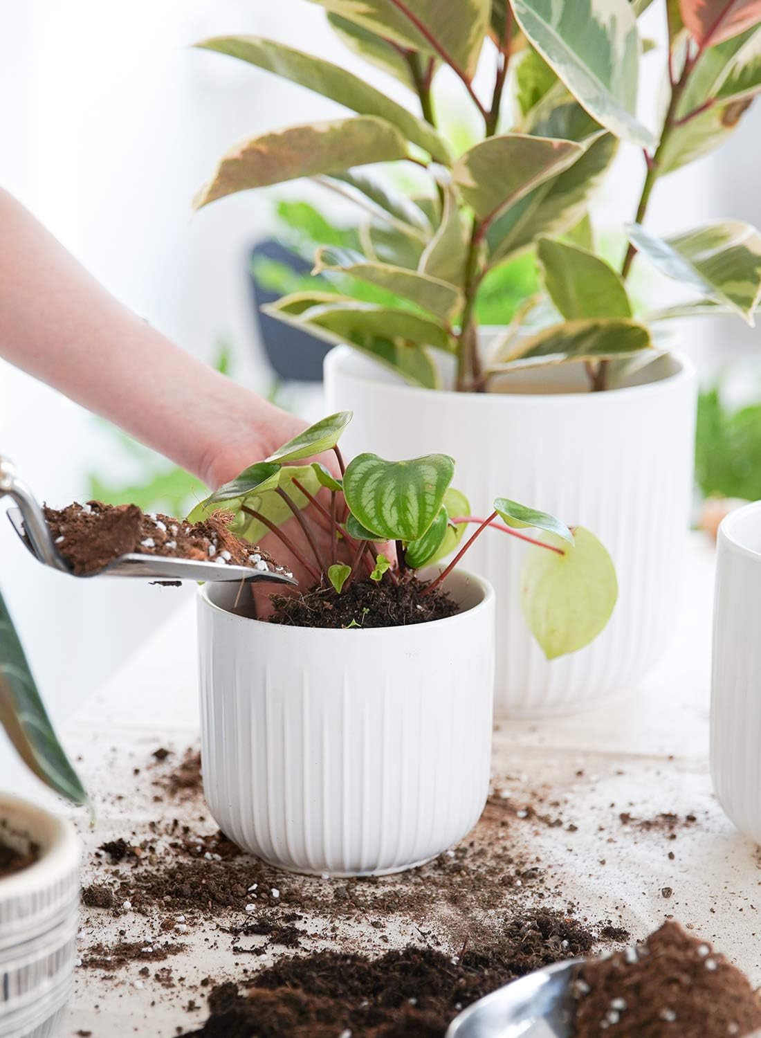 LE TAUCI Fluted Ceramic Planters Set of 3 – 8.3/7 / 5.7 in White Cylinder Indoor Plant Pots with Drainage Plug & Mesh, Matte Glazed Stoneware Flower Pots for Succulent Herb Cactus