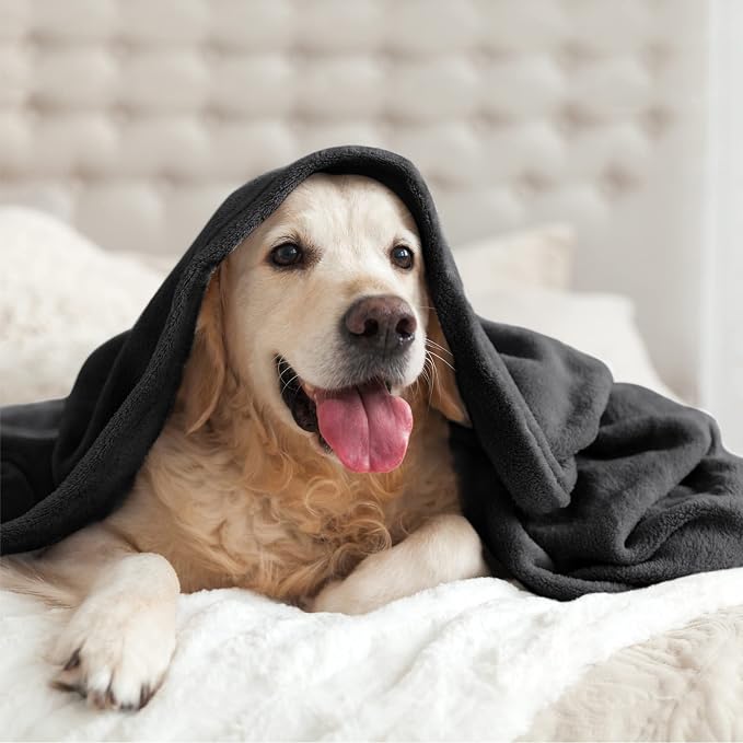BEDELITE Fleece Blanket Soft Plush King Size Bed Blanket Black 108"x90" | Ultra - Image 9