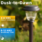 DERAYSION Solar Lights Outdoor 6 Pack, Stainless Steel Glass Solar Pathway Lights, Auto On/Off Long-Lasting Waterproof Landscape Lighting for Garden, Landscape, Path, Yard, Warkway (Warm White)