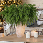12 Pcs Artificial Norfolk Pine Branches, Norfolk Pine Artificial Pine Stems DIY Crafts Faux Christmas Greenary Norfolk Pine Branches for Xmas Wreath Garland Home Decor (12)
