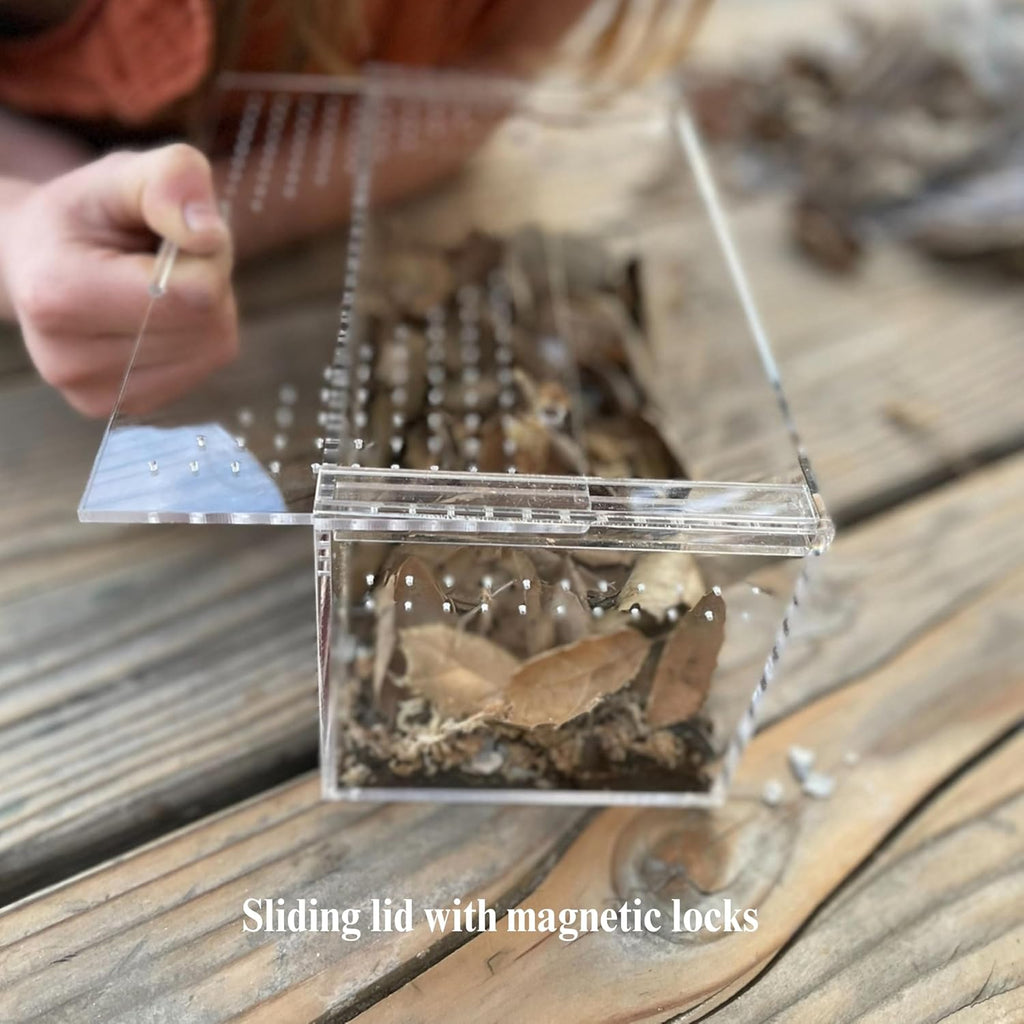 THE MASONRY | Acrylic Terrarium for Isopod Enclosure | 8"x4"x4" | Sling Tarantula Enclosure and Bug Tank | Small Spider Habitat | Terrarium Pre-Assembled with Magnetic Lock