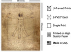 Poster Master Classic Leonardo Da Vinci Poster - Vintage Renaissance Print - Gift for Artist, Friend - Vitruvian Man, Proportion, Symmetry, Human Body - Wall Decor for Office, 24x32 Unframed Wall Art