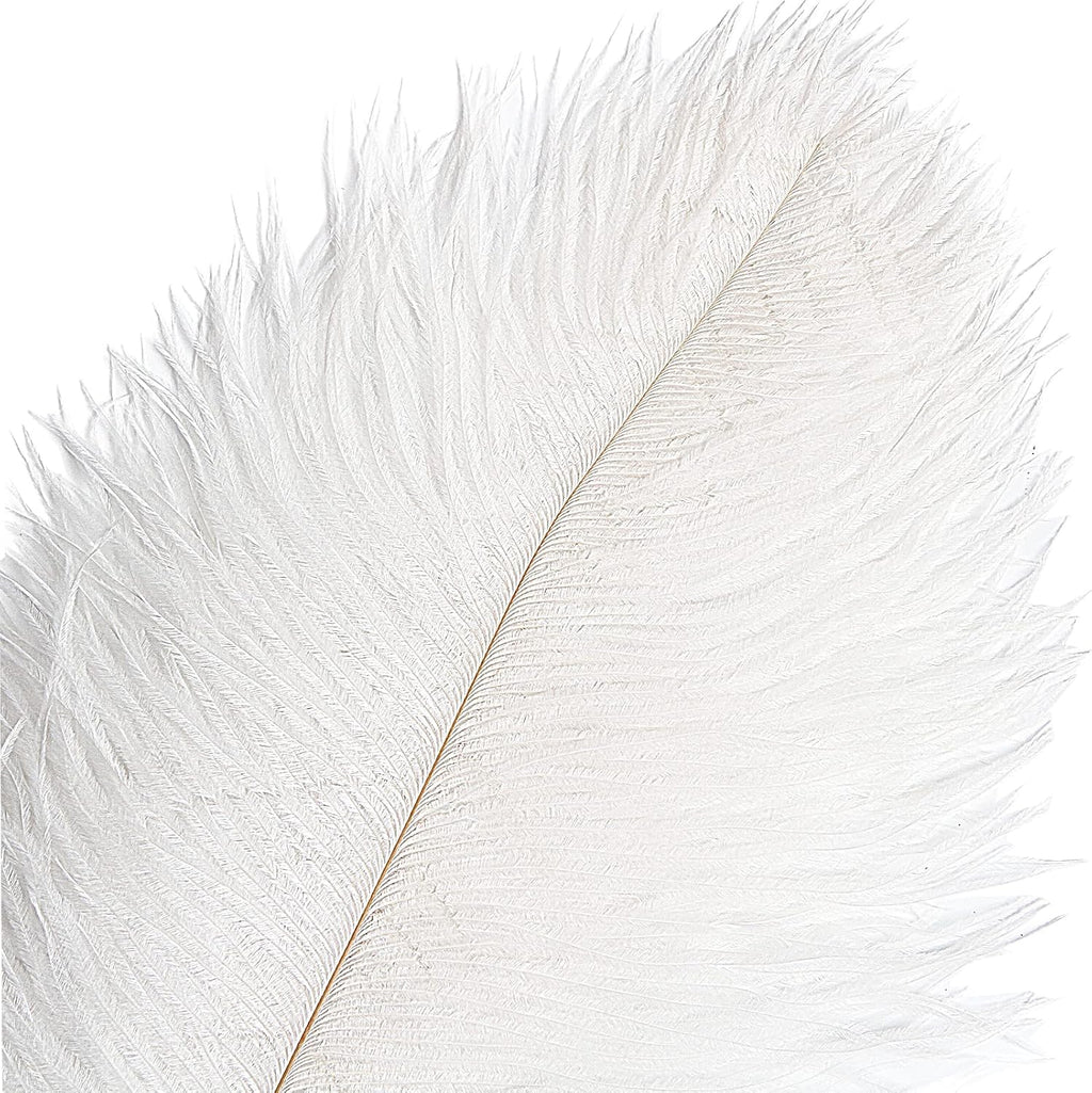 THARAHT 12pcs White Ostrich Feathers Natural Bulk 14-16Inch 35cm-40cm for Wedding Party Centerpieces Easter Gatsby and Home Decorate Ostrich Feathers