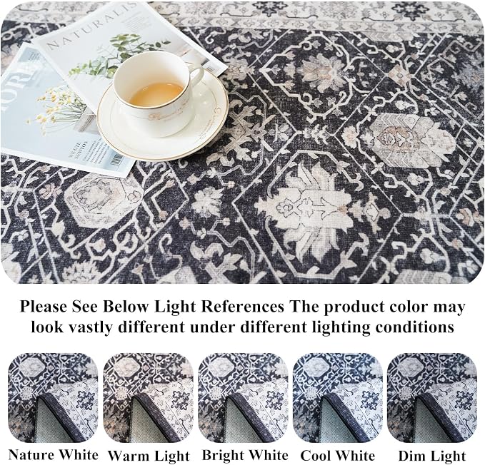 Washable 2x3 Entryway Area Rug: Vintage Soft Thin Door Mat - Image 3