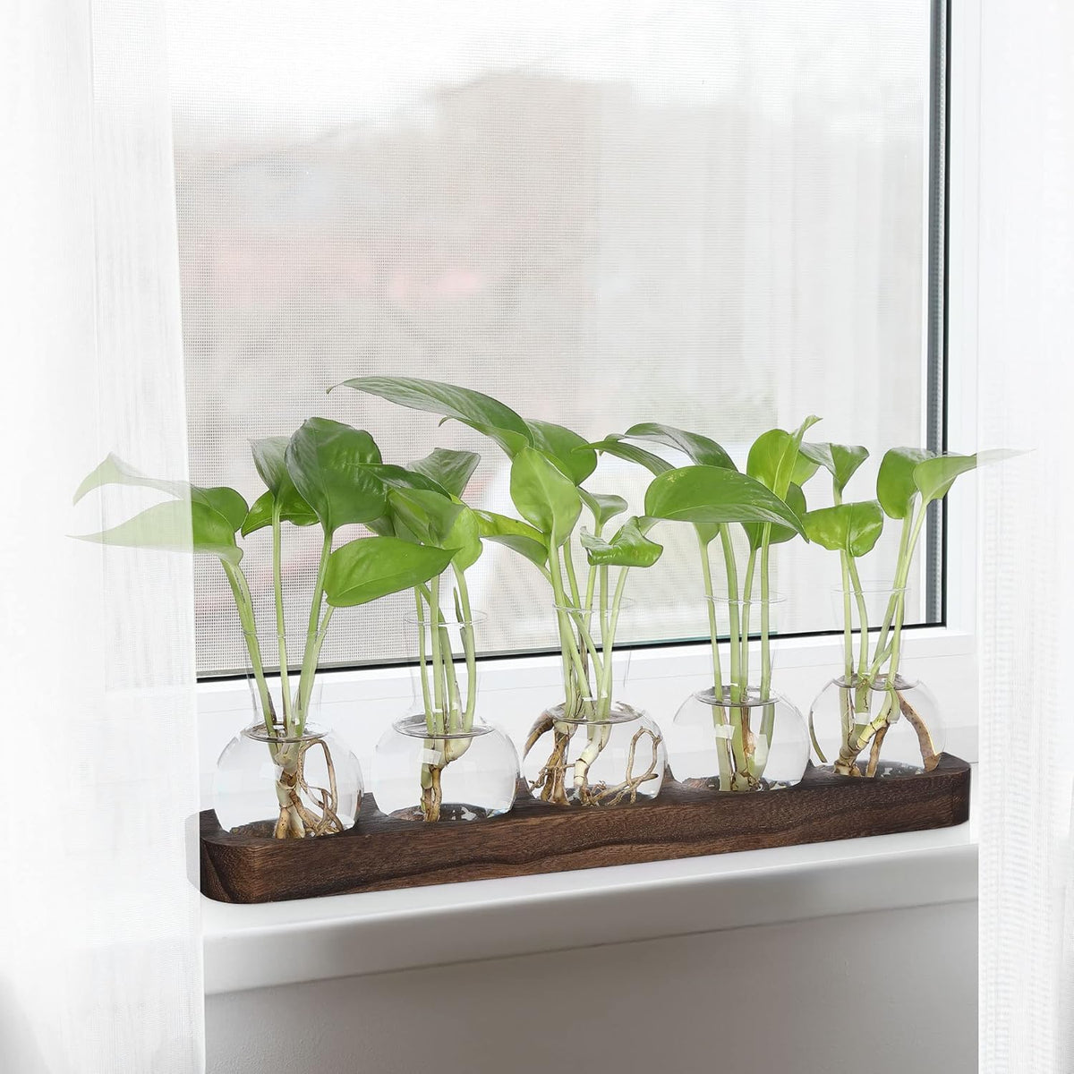 YIBOT Plant Propagation Stations,Glass Propagation Vases for Plants Terrarium with Wooden Tray Plant Lover Gifts for Propagating Hydroponic Plants Home Office Decor(5 Vase)