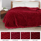 Exclusivo Mezcla Striped King Size Fleece Blanket - Image 3