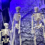 10 Pcs Halloween Mini Skeleton Figurine Decoration,6”Halloween posable Skeleton Decor,Small Plastic Skeleton Figure for Spooky Home Decor Haunted House Decorations Party Favors
