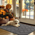 hicorfe Indoor Door Mat,Non Slip Door Mats,32"x48" Front Back Door Mat Rubber Backing,Absorbent Resist Dirt Entrance Inside Floor Mats for Entryway Washable Low-Profile(Grey)