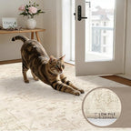 5x7 Area Rugs Living Room: Bedroom Washable Carpet Beige/Brown | Large Vintage - Image 7