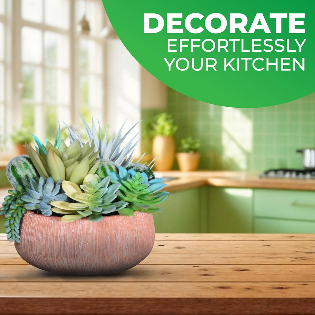 Premium Assorted Artificial Succulent Collection - Large Real Touch Artificial Cactus, Aloe Vera & Succulent Plants Artificial with Pots for Home Office Indoor (Artificial Coconut Shell - Pot)