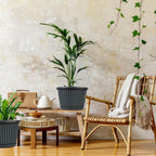 10 Inch Planter-Pots-for-Plants-Indoor-Outdoor, 4 Pack Plastic Flower Pots with Saucer & Drainage Holes, Modern Decorative Resin Garden Pots