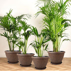 4 Pack 10 Inch Plant Pot, Flower Pots Outdoor with Drainage Hole & Tray, Thickened Plastic Planters for Indoor Outdoor Plants, Lightweight Modern Decorative Garden Pot with Saucer