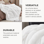 Bedsure GentleSoft Fluffy White Blankets Queen Size for Bed, Thick Sherpa Faux Fur Fleece Fuzzy Plush Winter Warm Heavy Soft Queen Blankets, Bedroom Decor White Gifts Cozy Gifts for Women Men, 90x90